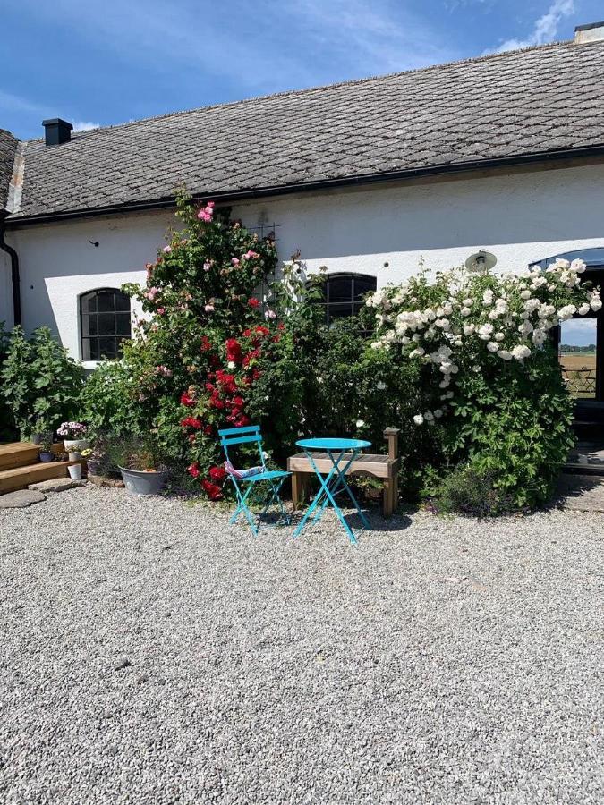 Raevakra B&B Hammenhög Extérieur photo