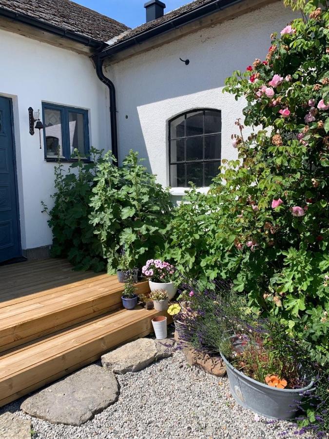 Raevakra B&B Hammenhög Extérieur photo